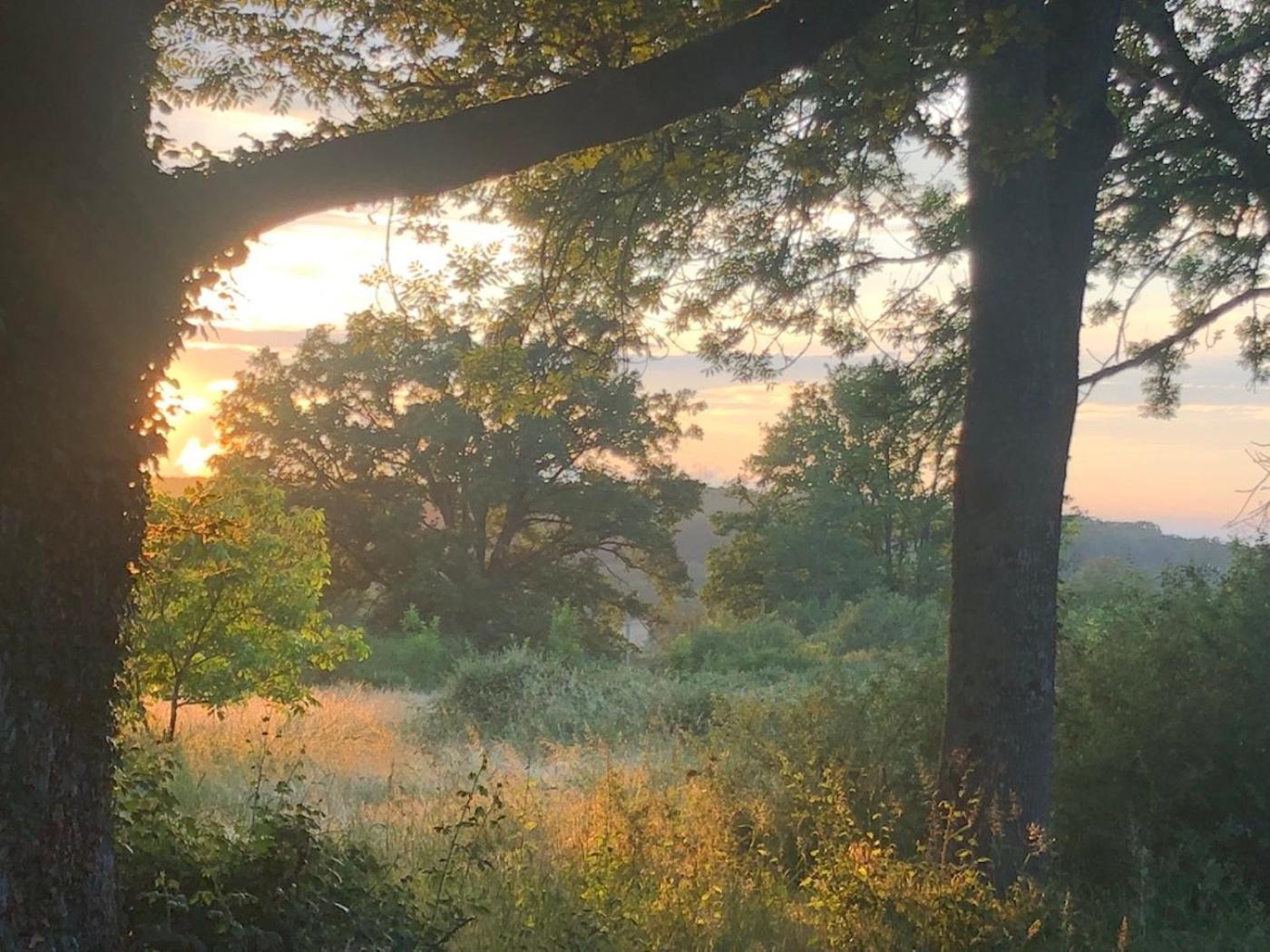 Domaine La Faix, Gite La Chouette Saint-Plaisir Kültér fotó