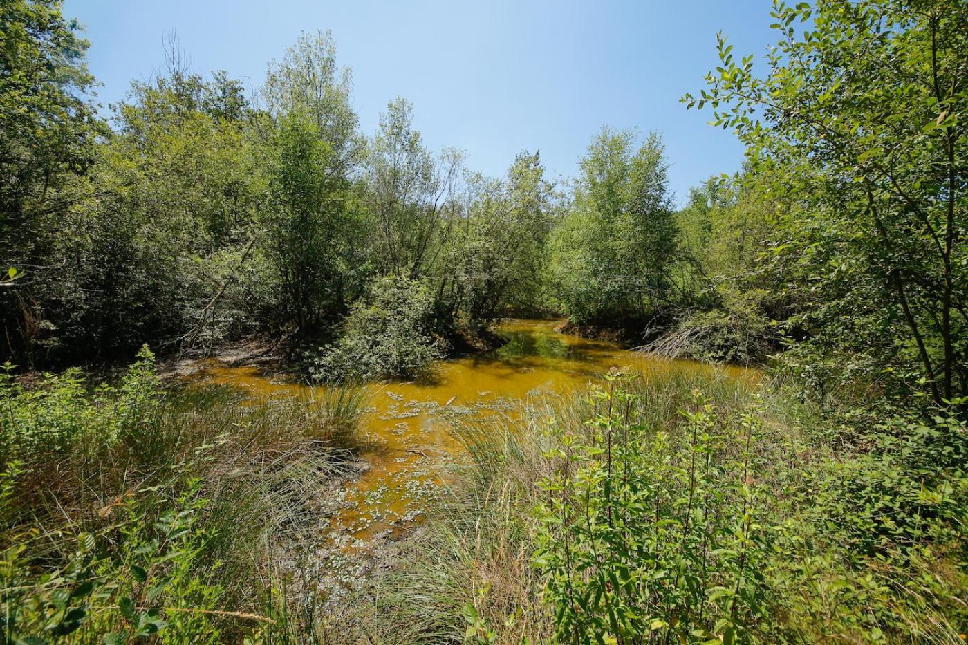 Domaine La Faix, Gite La Chouette Saint-Plaisir Kültér fotó