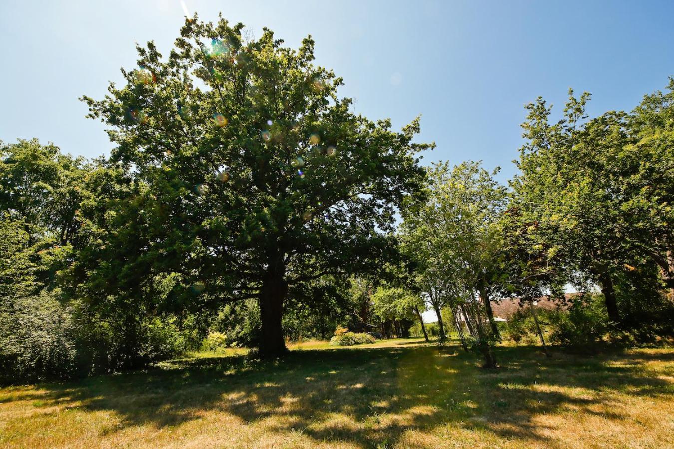 Domaine La Faix, Gite La Chouette Saint-Plaisir Kültér fotó