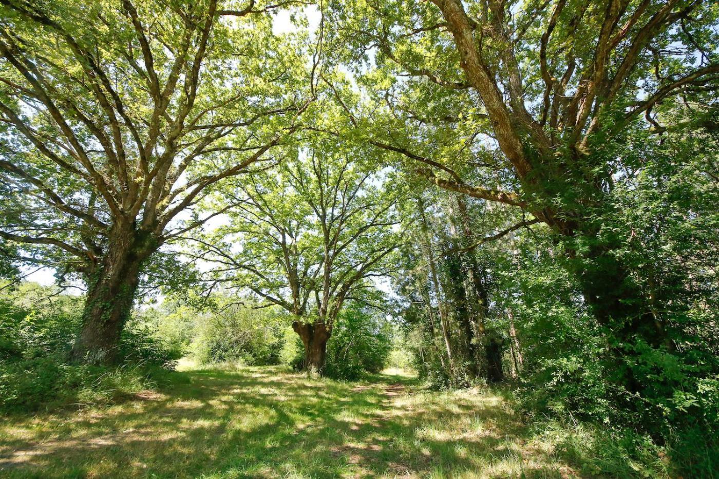 Domaine La Faix, Gite La Chouette Saint-Plaisir Kültér fotó